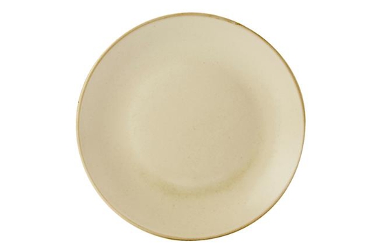 280mm Päikesetaldrik