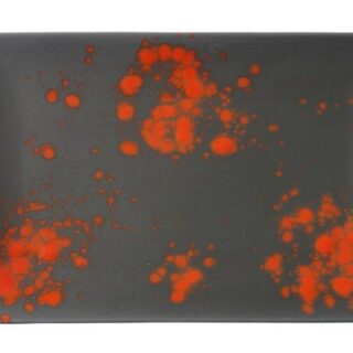 215x120mm Bloom serving plate